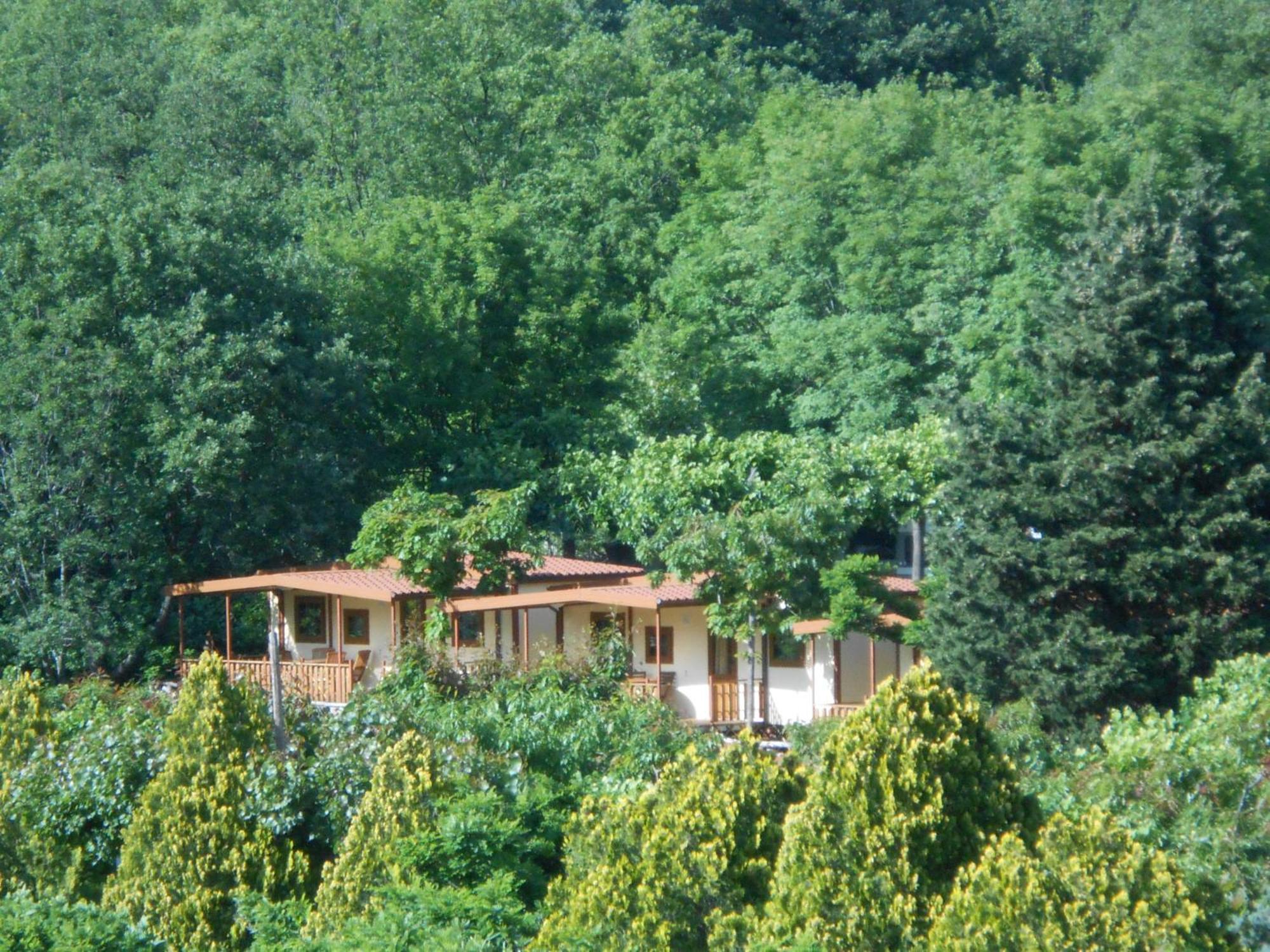 Campeggio Pian Dei Boschi Pietra Ligure Bagian luar foto